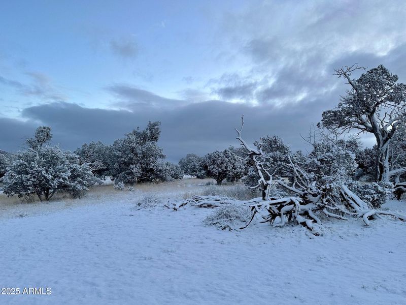 Snow caped Snow caped