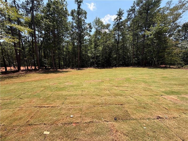 Natural landscape and outdoor views near The Fields of Walnut Creek in Pendergrass (Image 21). Natural landscape and outdoor views near The Fields of Walnut Creek in Pendergrass (Image 21).