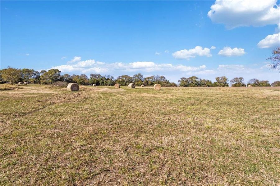 View of local wilderness with rural landscape