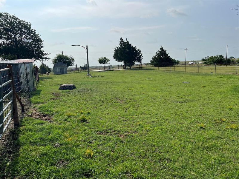 Natural landscape and outdoor views near  in Nocona (Image 28).