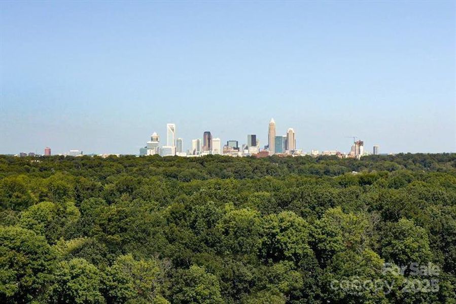 Charlotte’s skyline steals the show—where city lights, energy, and Southern charm rise high! Charlotte’s skyline steals the show—where city lights, energy, and Southern charm rise high!