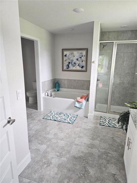 Furnished interior view inside a new home in The Preserve at Laurel Lake, Lake City (Image 4).