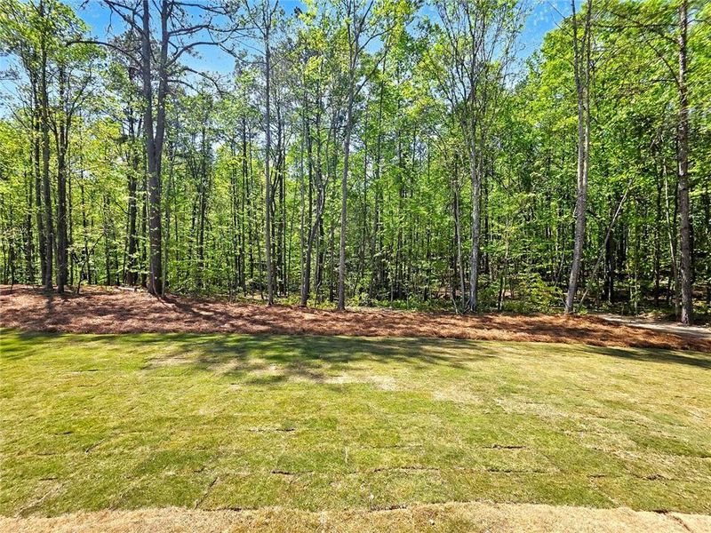 Natural landscape and outdoor views near in Dallas (Image 25). Natural landscape and outdoor views near in Dallas (Image 25).