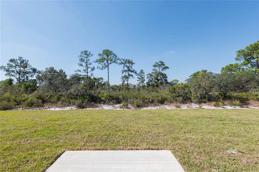 Natural landscape and outdoor views near  in Sebring (Image 18).