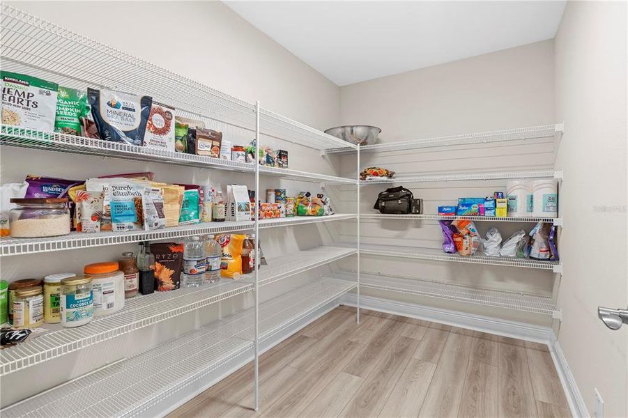 Furnished interior view inside a new home in Hawkstone, Lithia (Image 27).