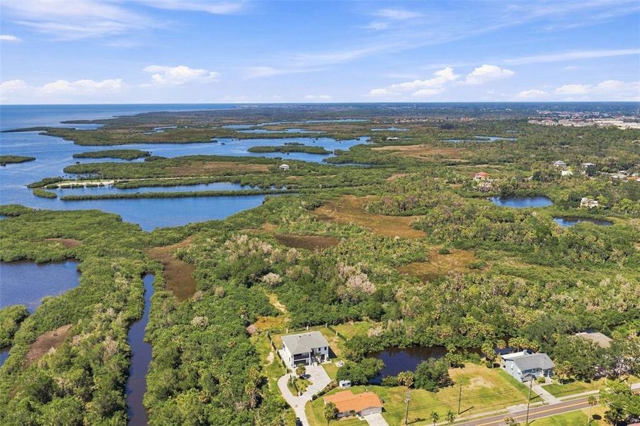 Natural landscape and outdoor views near  in Port Richey (Image 70).