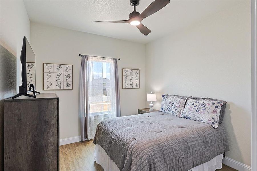 Light-filled room featuring wood-finish flooring, a ceiling fan with integrated lighting, and a single window with sheer and opaque drapery
