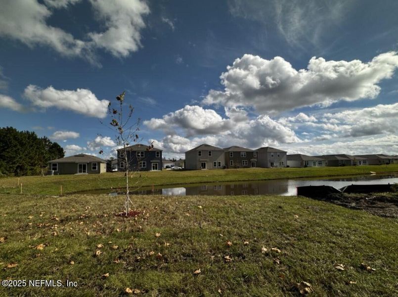 Natural landscape and outdoor views near The Arbors in Jacksonville (Image 38). Natural landscape and outdoor views near The Arbors in Jacksonville (Image 38).