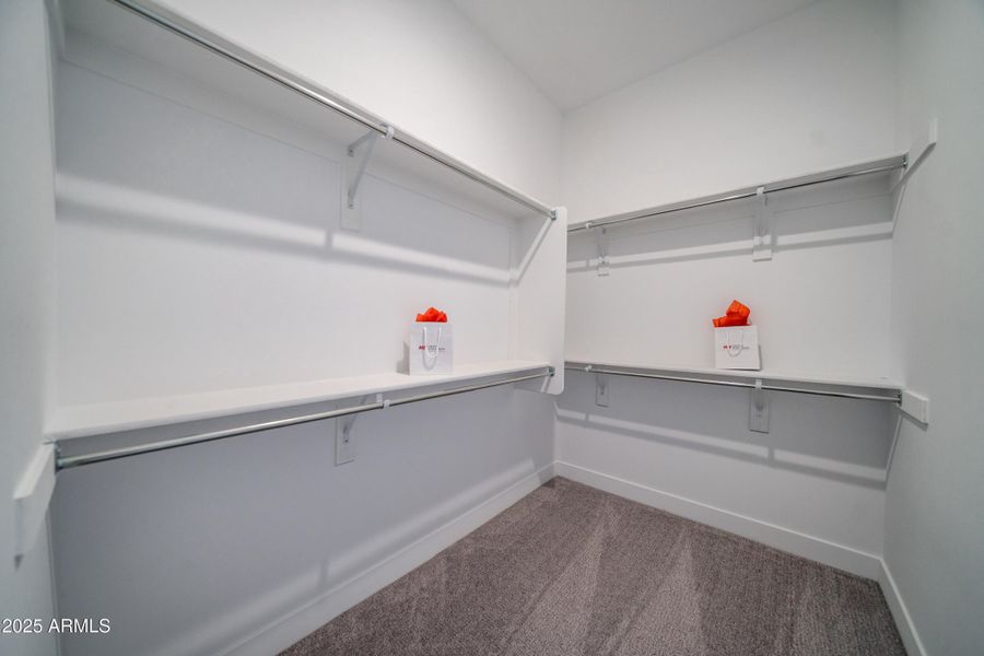 11597 N 169 Ave 11597 N 169 Ave