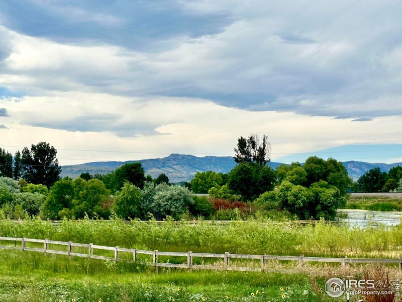 This could be your view! Premium lot backing to open space with unobstructed views of Horsetooth Rock, the front range, open space, and subdivision trails and NO METRO DISTRICT!!!