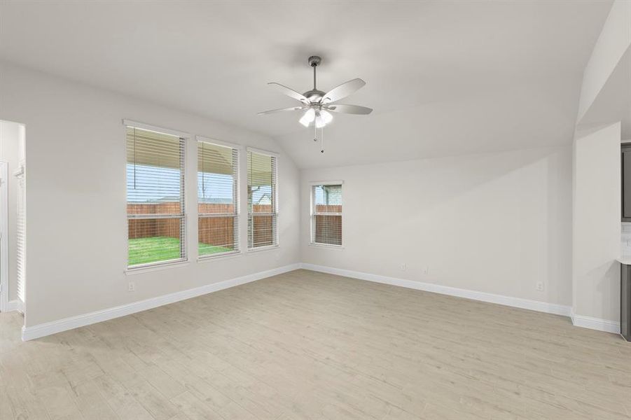 16. 6208 Havature - Family (2)