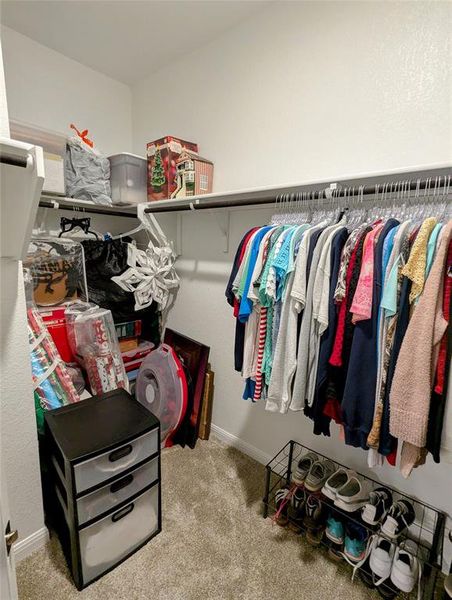 Walk-in Primary Closet