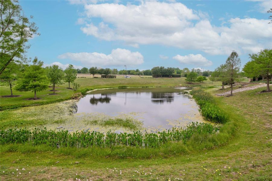 No need to make a trip to go fishing! No need to make a trip to go fishing!