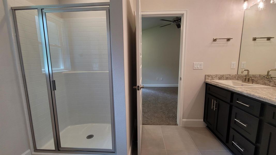 Primary Shower