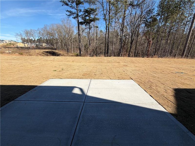 Natural landscape and outdoor views near Twin Lakes in Hoschton (Image 6).