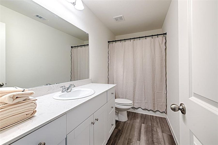 Bathroom featuring dark wood-style flooring and vanity Bathroom featuring dark wood-style flooring and vanity