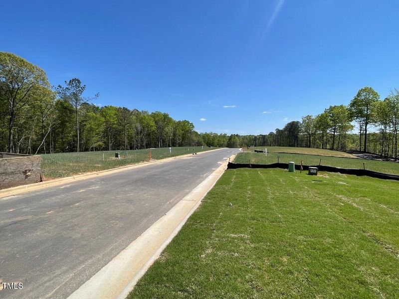 Beautiful street and homesites Beautiful street and homesites