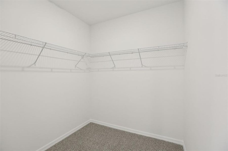 Spacious, unfurnished interior of a new home in Springs at Lake Alfred - Classic Series, Lake Alfred (Image 30).