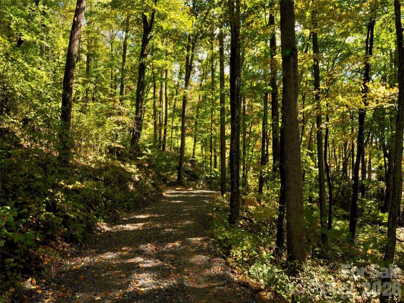 Natural landscape and outdoor views near in Arden (Image 22). Natural landscape and outdoor views near in Arden (Image 22).