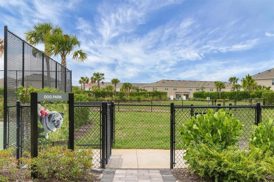 Community amenities in Palmero, Nokomis (Image 45).
