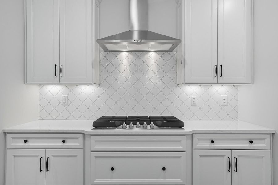 Close-up of interior finishes inside a home in Heritage - 55+ Community, Wesley Chapel (Image 14).