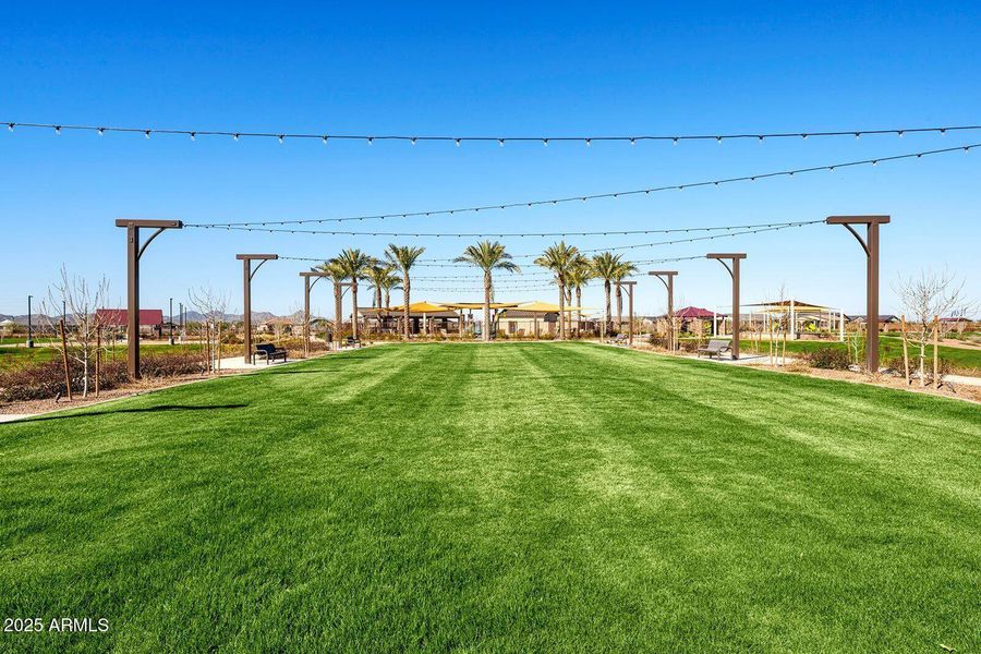 Community 9 Community 9