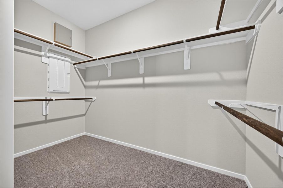 Spacious, unfurnished interior of a new home in Cypress Green, Hockley (Image 40).