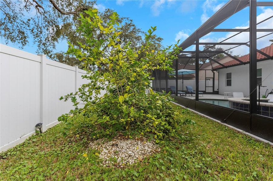 Front exterior of a new home in , Tarpon Springs, FL, highlighting curb appeal (Image 21).