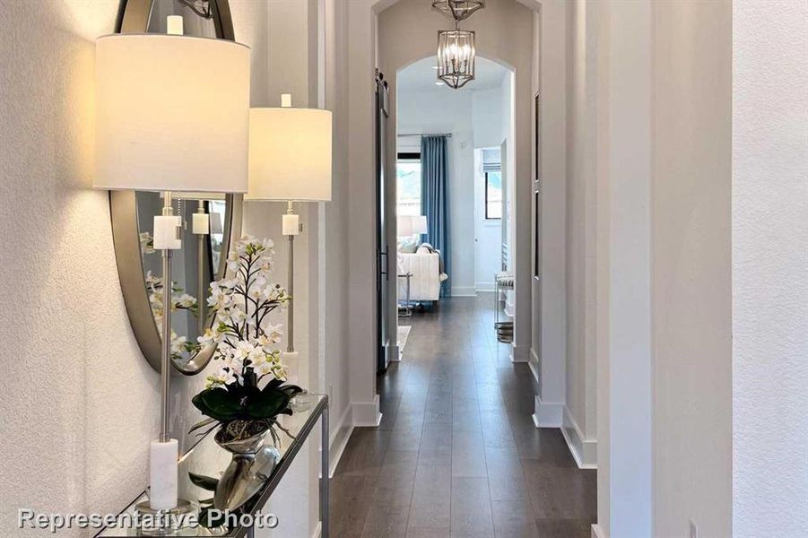 Entry (Representative Photo) Entry (Representative Photo)