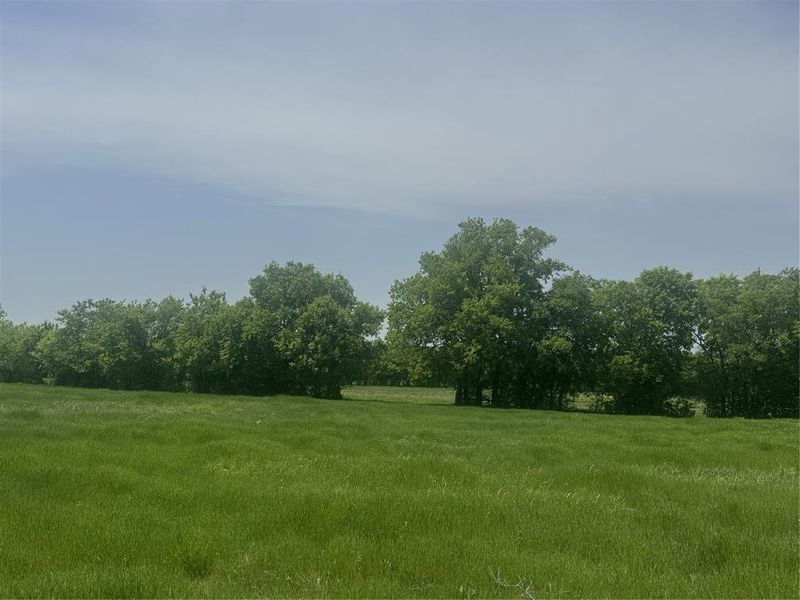 Natural landscape and outdoor views near in Decatur (Image 5). Natural landscape and outdoor views near in Decatur (Image 5).