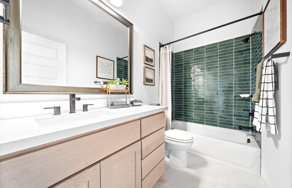 **Representative photo**