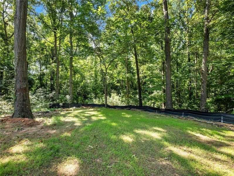 Natural landscape and outdoor views near in Maysville (Image 37). Natural landscape and outdoor views near in Maysville (Image 37).