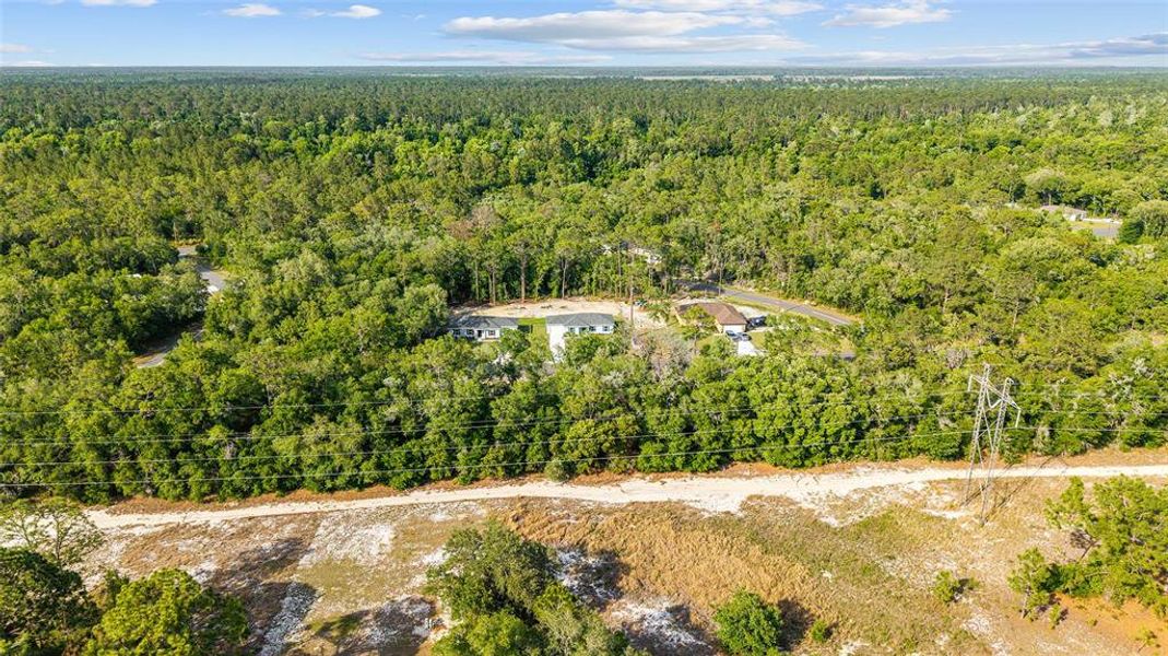 Natural landscape and outdoor views near  in Ocala (Image 32).