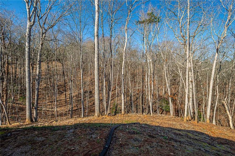 Natural landscape and outdoor views near  in Dahlonega (Image 46).