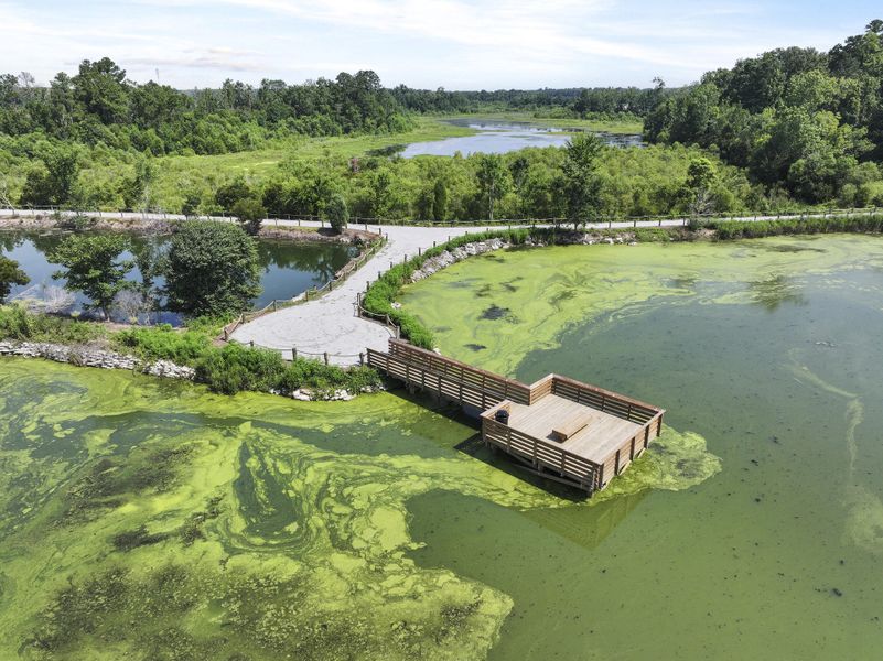 Image 35 of a home in Carolina Groves Townhomes.
