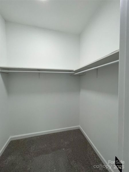 Primary Bedroom Walk-in Closet