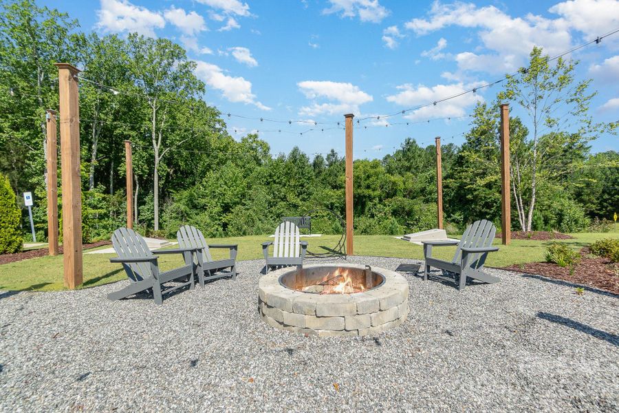 Community Fire pit