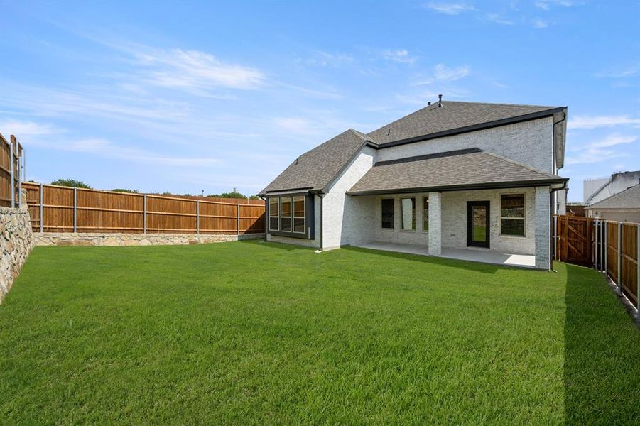 221 Whitetail- Back-1