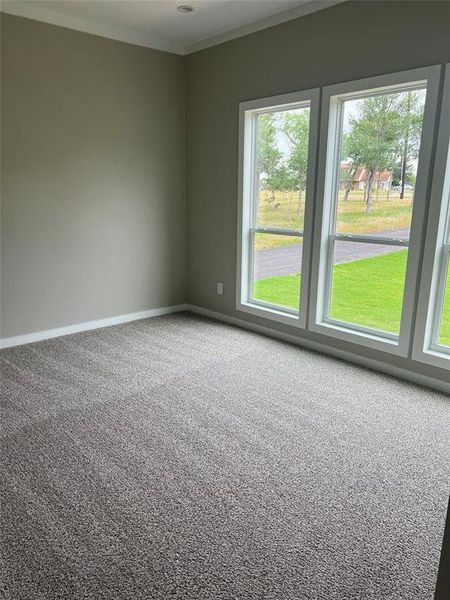 Carpeted spare room featuring baseboards and crown molding