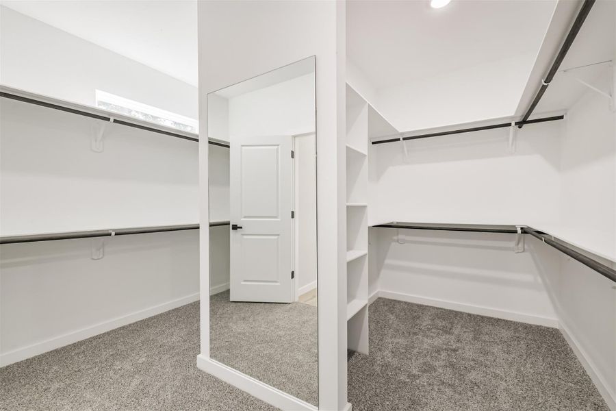 Spacious, unfurnished interior of a new home in , Hockley (Image 46).