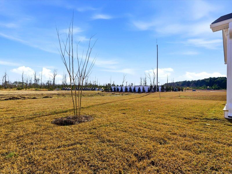 Exterior details and patio area of a home in The Coves at Lakes of Cane Bay, Summerville (Image 26).