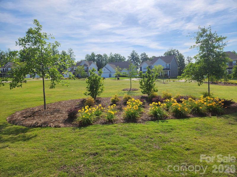 Natural landscape and outdoor views near  in Indian Land (Image 29).