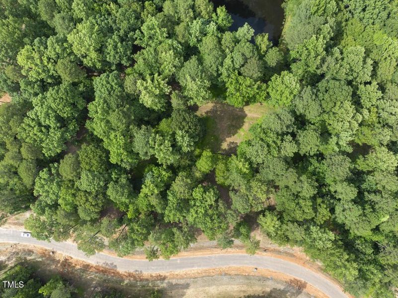 DJI_20250617162843_0096_D (Medium)