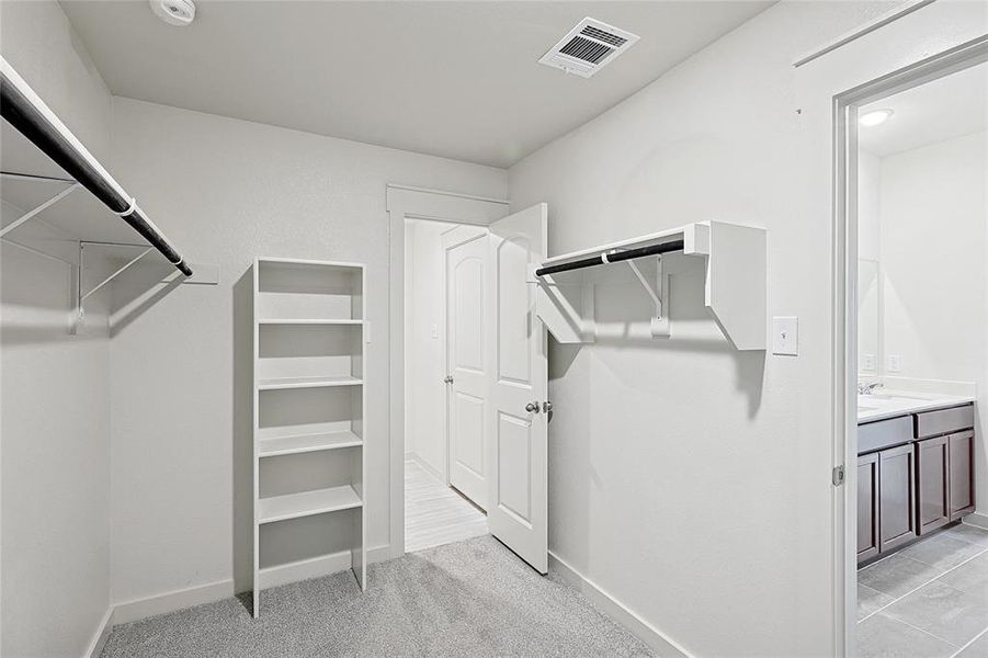 Spacious closet featuring light colored carpet and sink