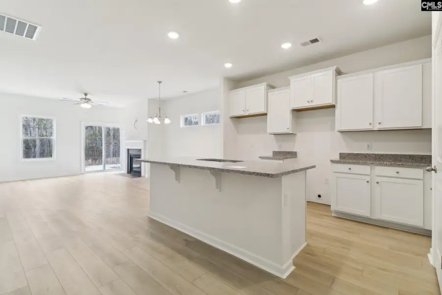 Furnished interior view inside a new home in Boykin Hills, Chapin (Image 10).