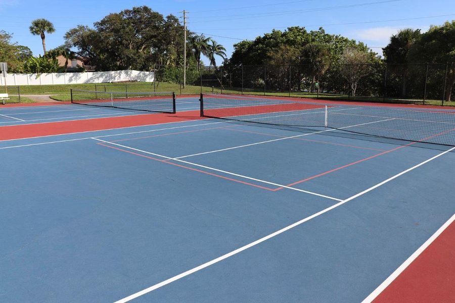 Pickleball court img_9371A
