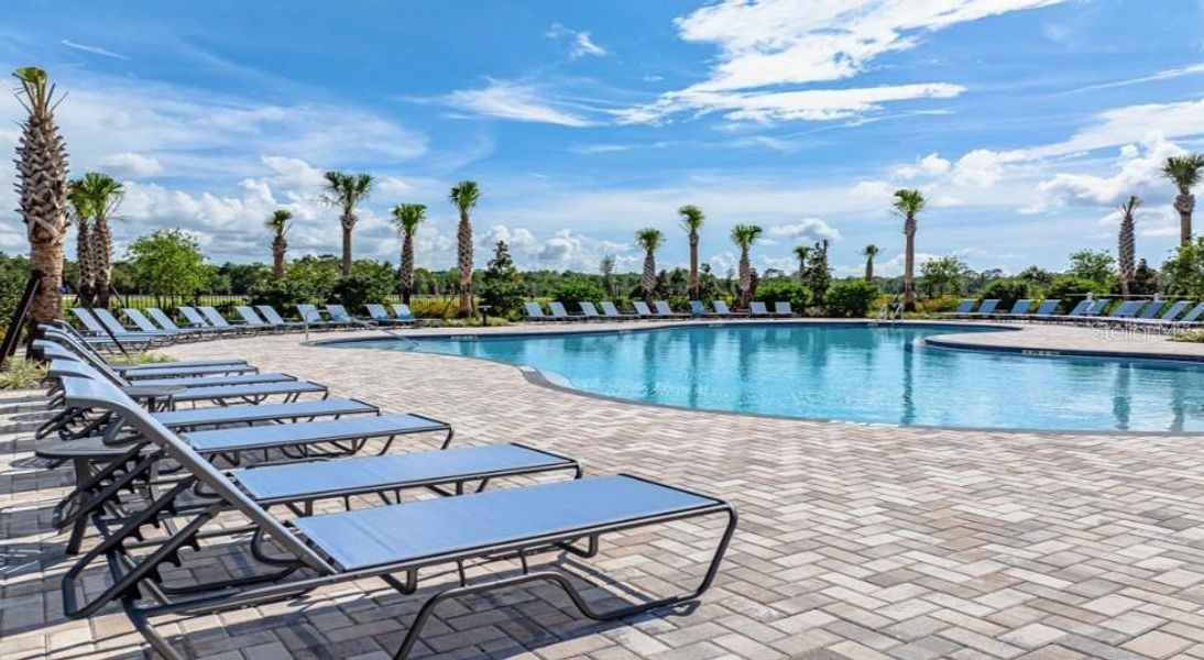 Community amenities in Palm Wind, Hudson (Image 23).