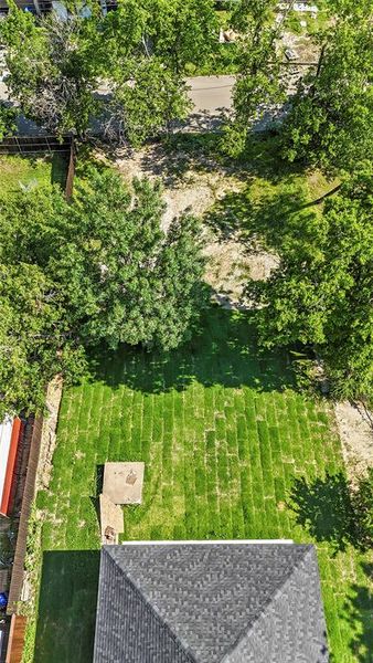 Expansive rear yard featuring newly laid sod Expansive rear yard featuring newly laid sod