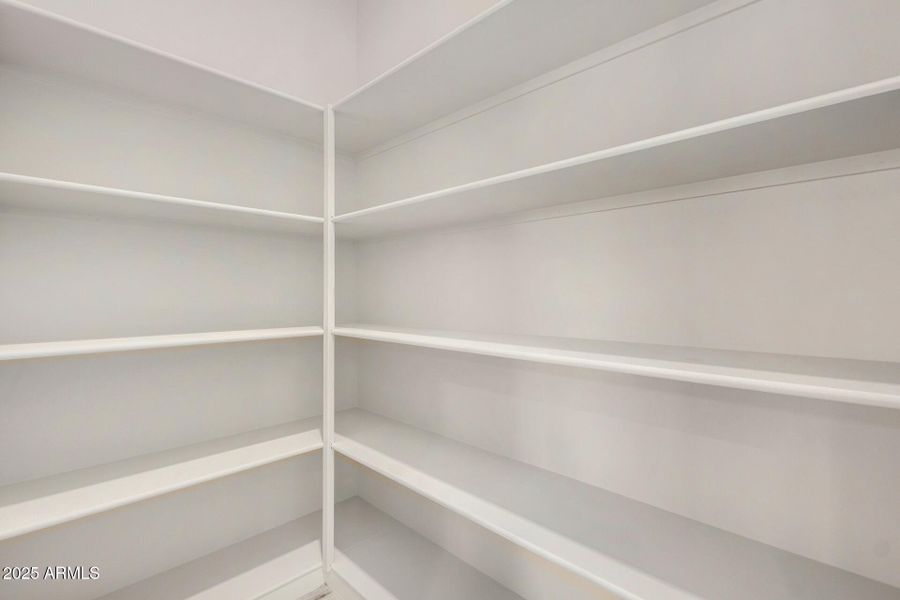 15 - Royal Palm 15 - Royal Palm