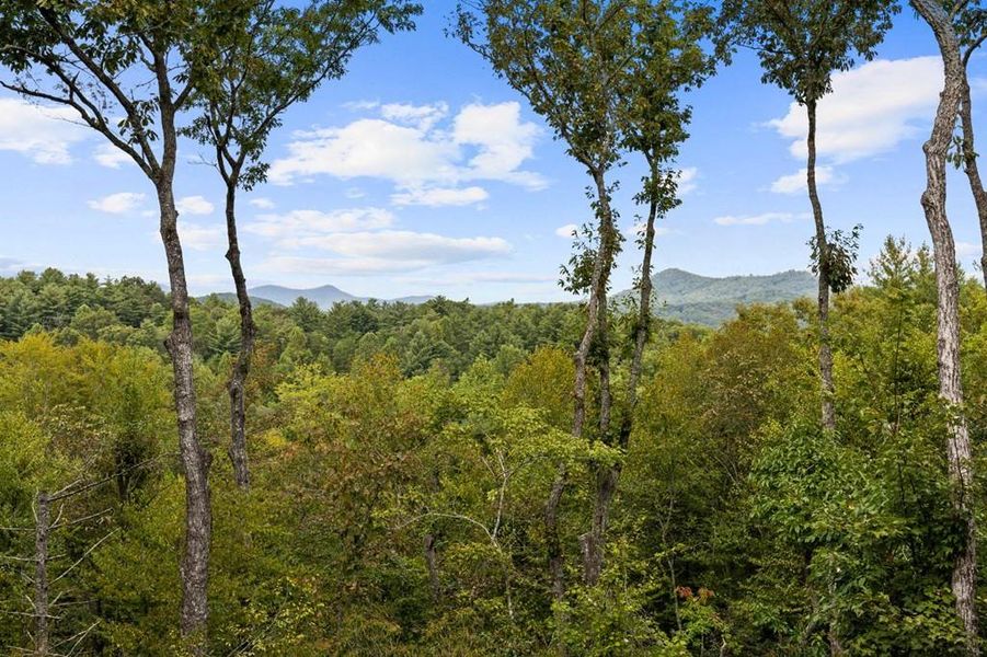 Natural landscape and outdoor views near  in Mineral Bluff (Image 37).